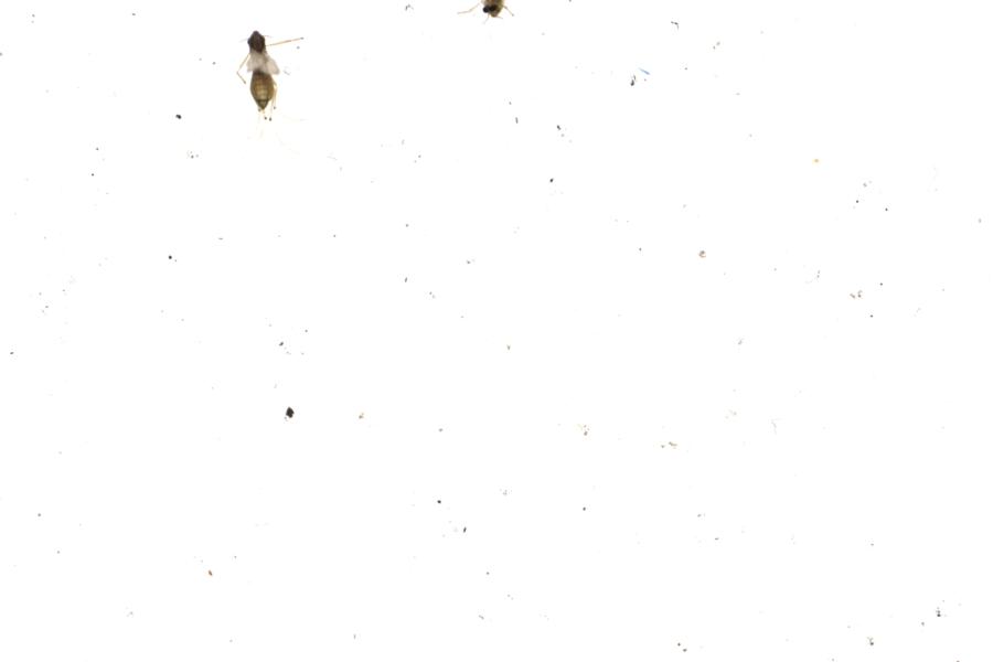 Image 57